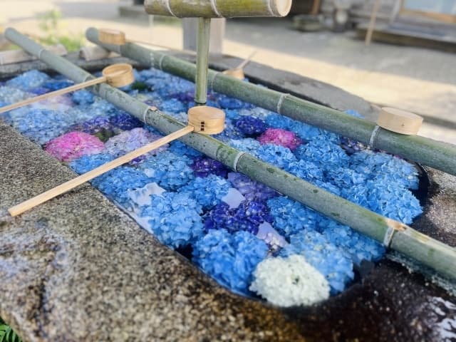 静けさに耳を澄ます、雨の日こそ訪れたい 「雨音神社(あまねじんじゃ)」☔